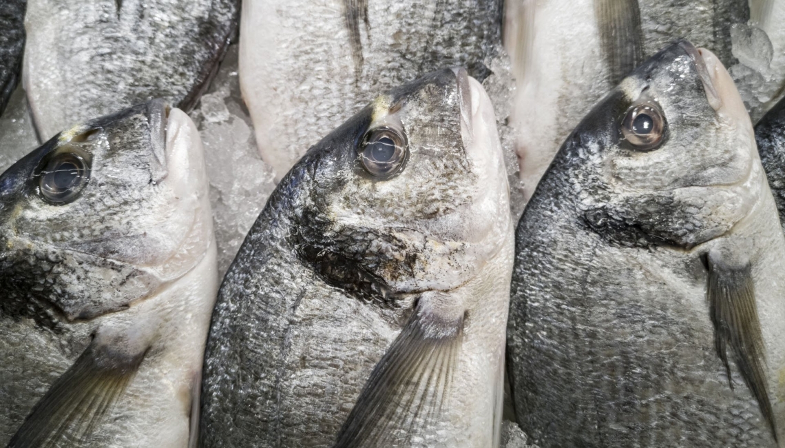 Produtos do Mar