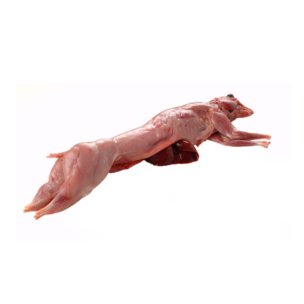 coelho – carne de caça