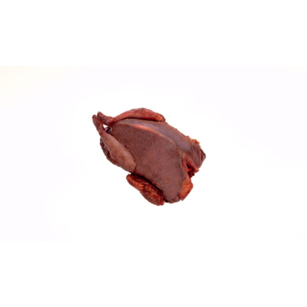 pombo de caça – caça menor